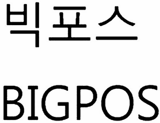 BIGPOS logo