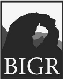 BIGR logo