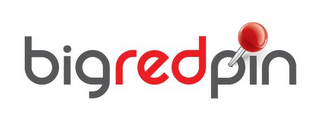 BIGREDPIN logo