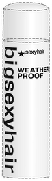 BIGSEXYHAIR SEXYHAIR WEATHER PROOF logo