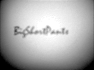 BIGSHORTPANTS logo
