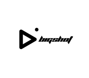 BIGSHOT logo