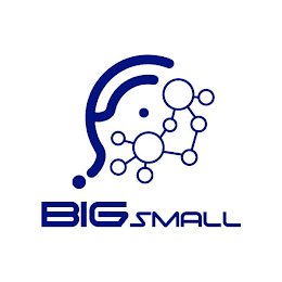 BIGSMALL logo