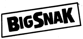 BIGSNAK logo