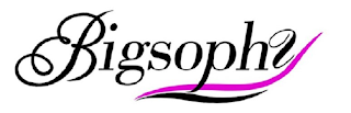 BIGSOPHY logo