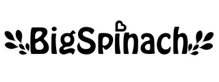 BIGSPINACH logo