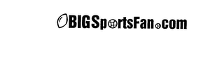 BIGSPORTSFAN.COM logo