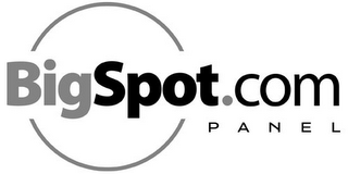 BIGSPOT.COM PANEL logo