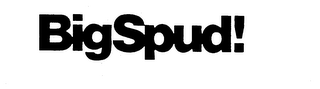 BIGSPUD! logo