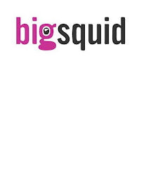 BIGSQUID logo