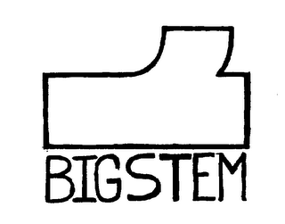 BIGSTEM logo