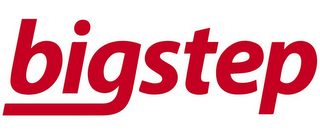 BIGSTEP logo