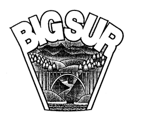 BIGSUR logo