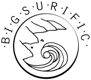 BIGSURIFIC logo