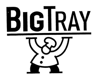 BIGTRAY logo