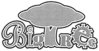 BIGTREE logo