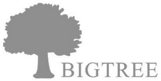BIGTREE logo