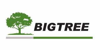 BIGTREE logo