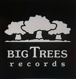 BIGTREES RECORDS logo