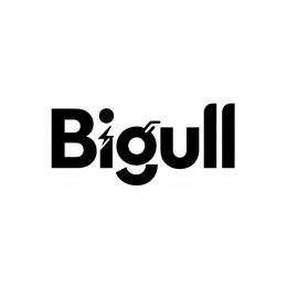 BIGULL logo