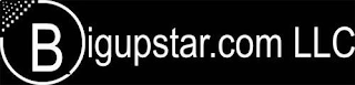 BIGUPSTAR.COM LLC logo