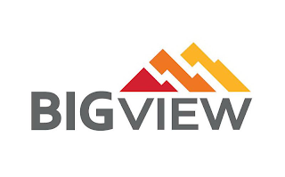 BIGVIEW logo