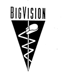 BIGVISION logo