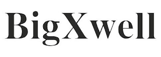 BIGXWELL logo