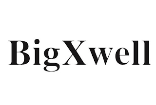 BIGXWELL logo