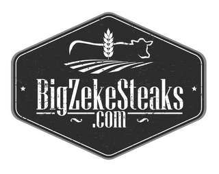 BIGZEKESTEAKS .COM logo