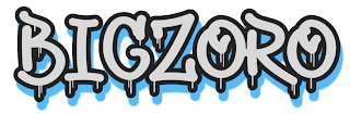 BIGZORO logo