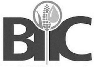 BIIC logo