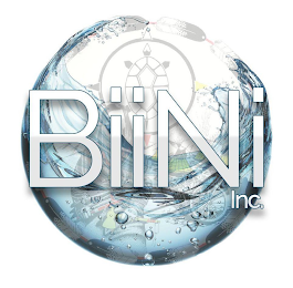 BIINI INC. logo