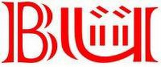 BIIU logo