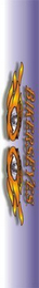 BIKERSEYES logo
