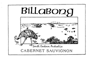 BILLABONG SOUTH EASTERN AUSTRALIA CABERNET SAUVIGNON logo