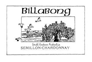 BILLABONG SOUTH EASTERN AUSTRALIA SEMILLON-CHARDONNAY logo