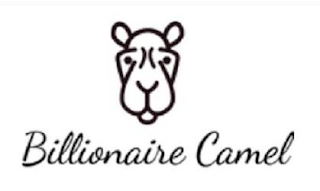 BILLIONAIRE CAMEL logo