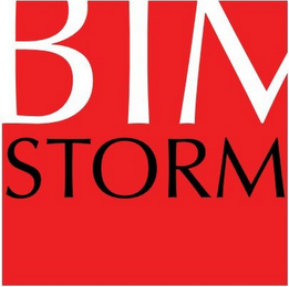 BIM STORM logo