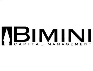 BIMINI CAPITAL MANAGEMENT logo