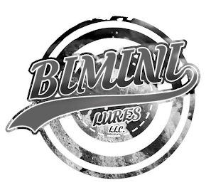 BIMINI LURES LLC. logo