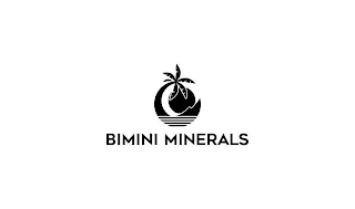 BIMINI MINERALS logo