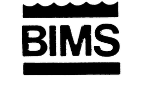 BIMS logo
