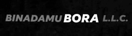 BINADAMU BORA L.L.C. logo