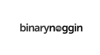 BINARYNOGGIN logo