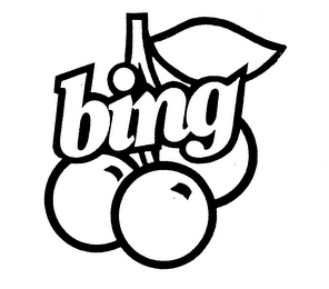 BING logo