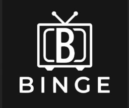 BINGE NETWORKS logo