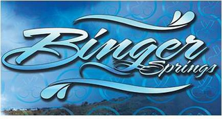 BINGER SPRINGS logo