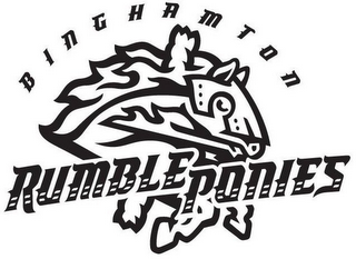 BINGHAMTON RUMBLE PONIES