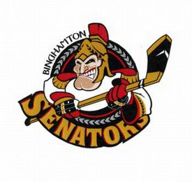 BINGHAMTON SENATORS logo